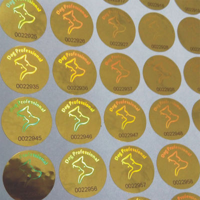 Ronde het Hologramstickers van de Vormveiligheid, Echte Hologramstickers